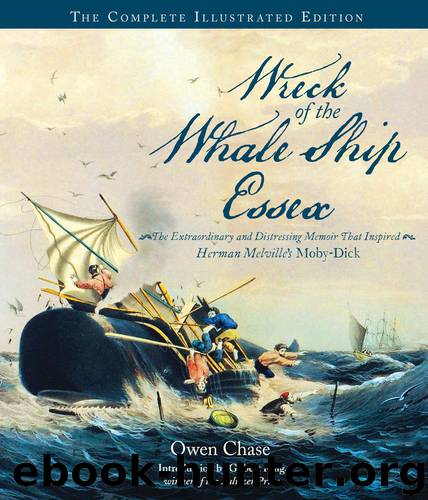 Wreck of the Whale Ship Essex by Owen Chase