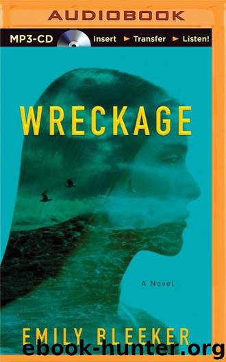Wreckage by Emily Bleeker