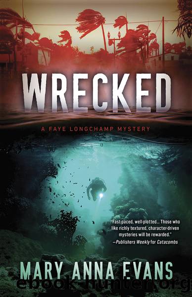 Wrecked by Mary Anna Evans