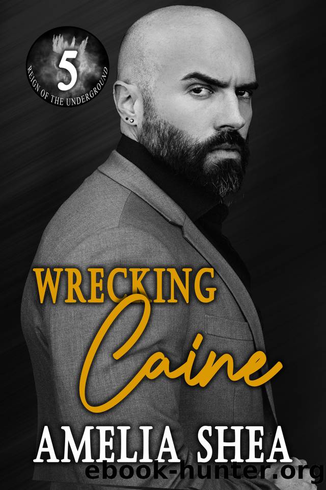 Wrecking Caine (Reign of the Underground Book 5) by Amelia Shea