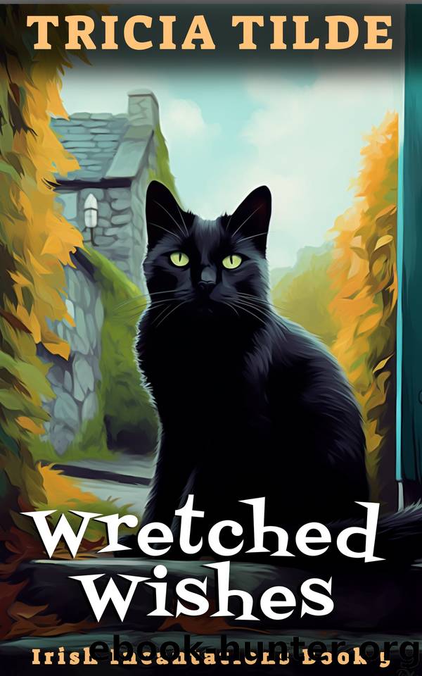 Wretched Wishes: Irish Incantations Book 5 by Tricia Tilde