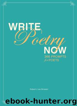 Write Poetry Now by Brewer Robert Lee