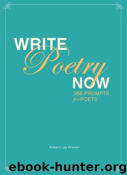 Write Poetry Now: 366 Prompts for Inspiring Your Poems by Robert Lee Brewer
