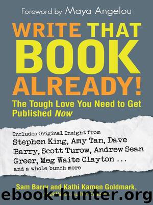 Write That Book Already!: The Tough Love You Need To Get Published Now by Barry Sam