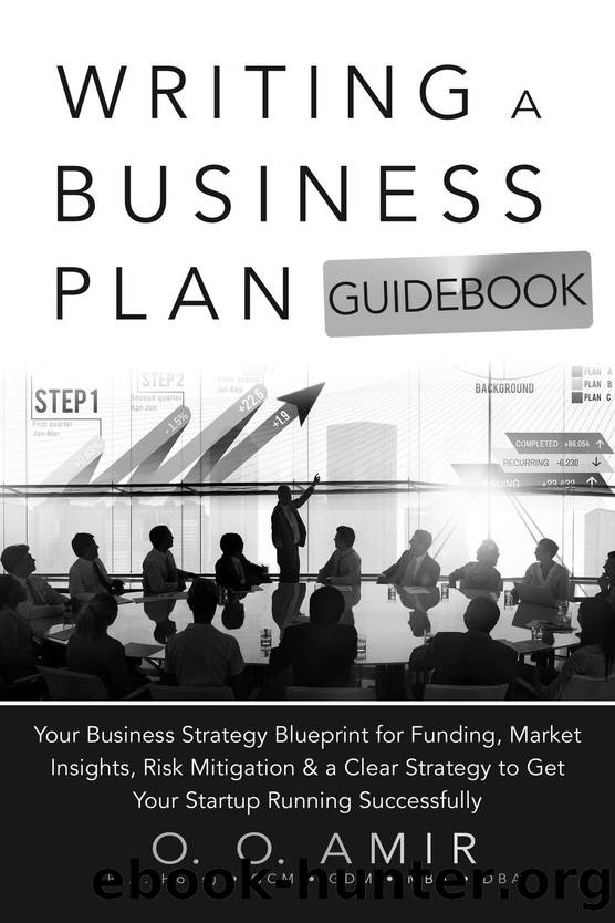 Writing a Business Plan Guidebook: Your Business Strategy Blueprint for Funding, Market Insights, Risk Mitigation, and a Clear Strategy to Get Your Startup Running Successfully by O. O. Amir