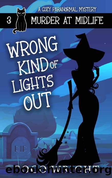 Wrong Kind of Lights Out: Murder at Midlife Book 3 by Coco Wright