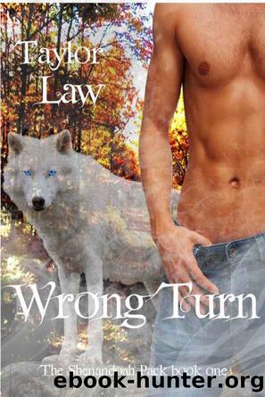 Wrong Turn by Law Taylor