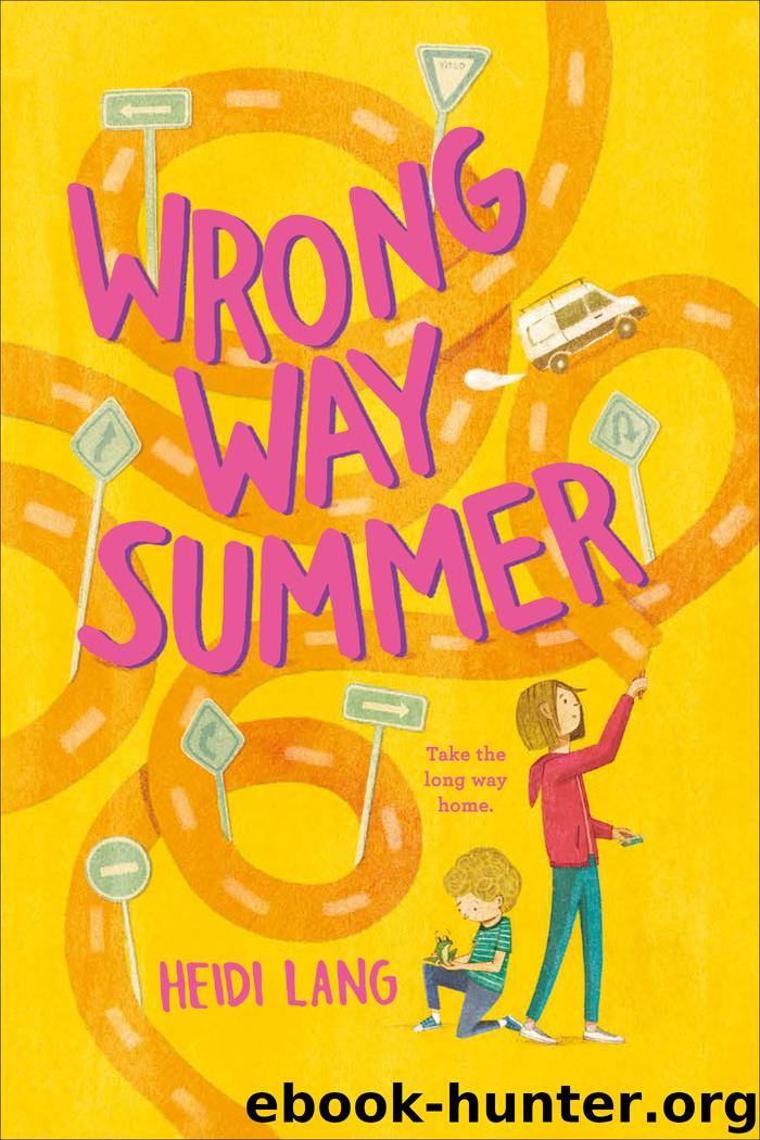 Wrong Way Summer by Heidi Lang
