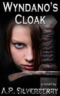 Wyndano's Cloak by A. R. Silverberry