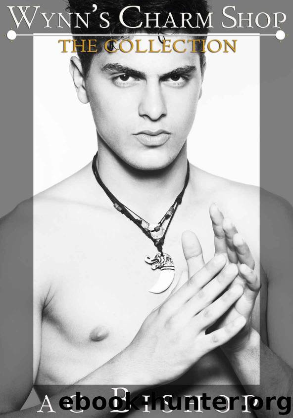 Wynn's Charm Shop Collection: Books one through three of the Wynn's Charm Shop series by Bishop AC