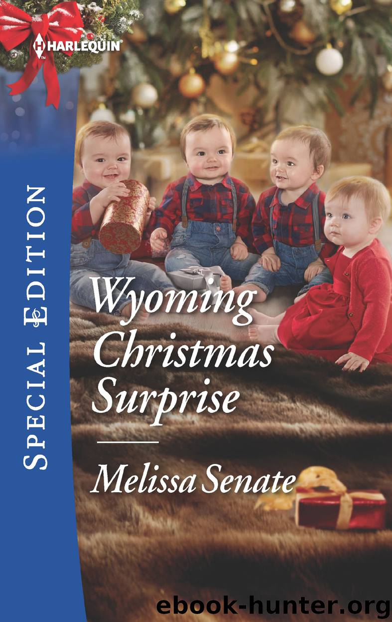 Wyoming Christmas Surprise by Melissa Senate