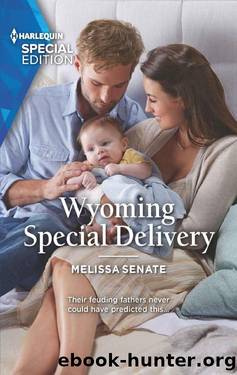 Wyoming Special Delivery (Dawson Family Ranch Book 2) by Melissa Senate