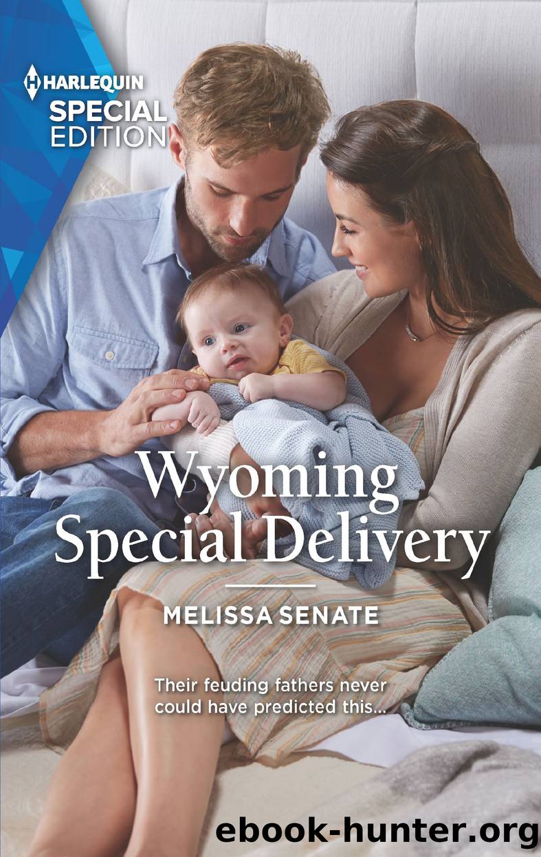 Wyoming Special Delivery by Melissa Senate