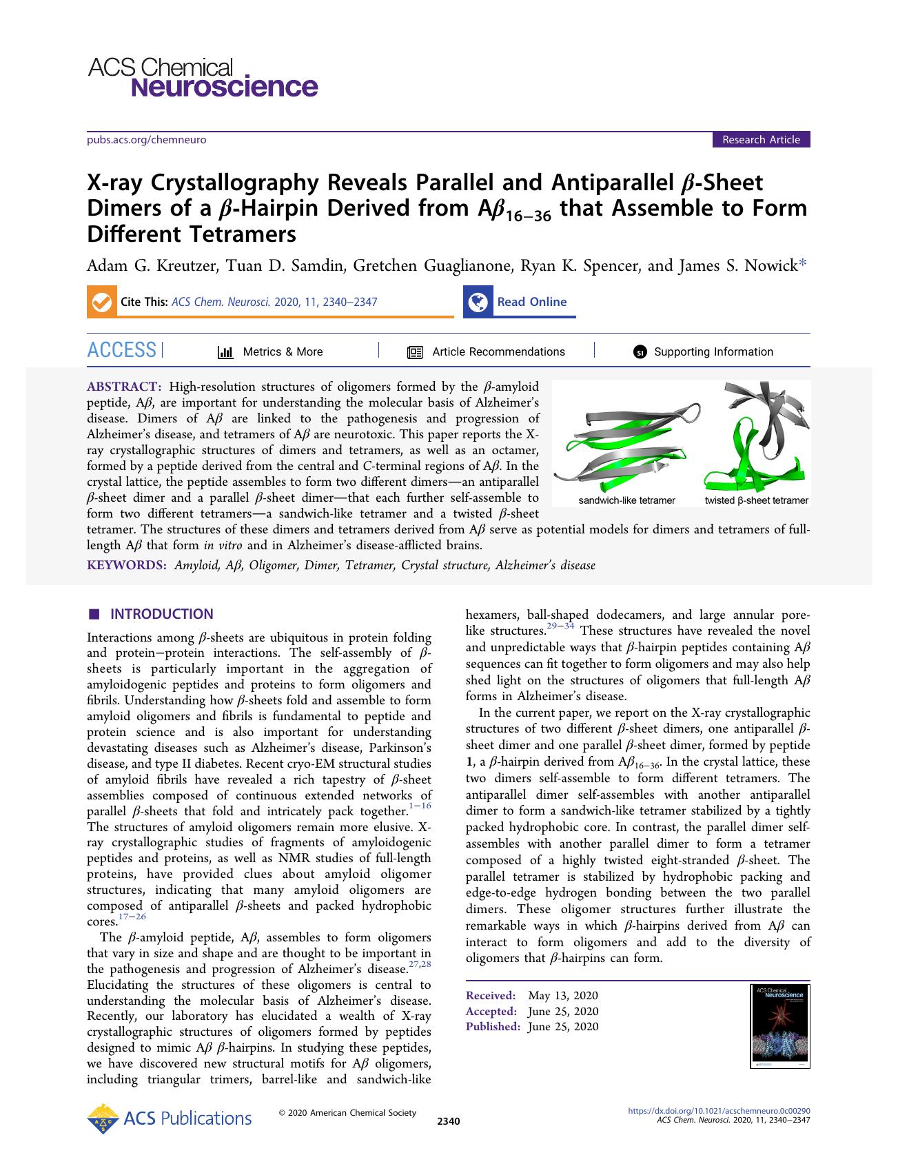 X-ray Crystallography Reveals Parallel and Antiparallel Î²-Sheet Dimers of a Î²-Hairpin Derived from AÎ²16â36 that Assemble to Form Different Tetramers by Adam G. Kreutzer Tuan D. Samdin Gretchen Guaglianone Ryan K. Spencer and James S. Nowick
