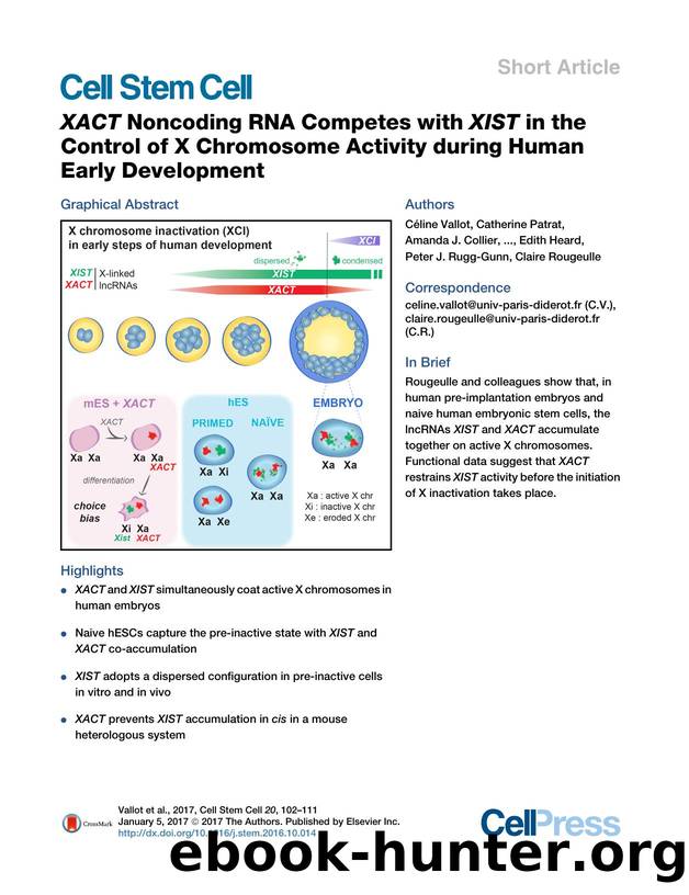 XACT Noncoding RNA Competes with XIST in the Control of X Chromosome Activity during Human Early Development by unknow