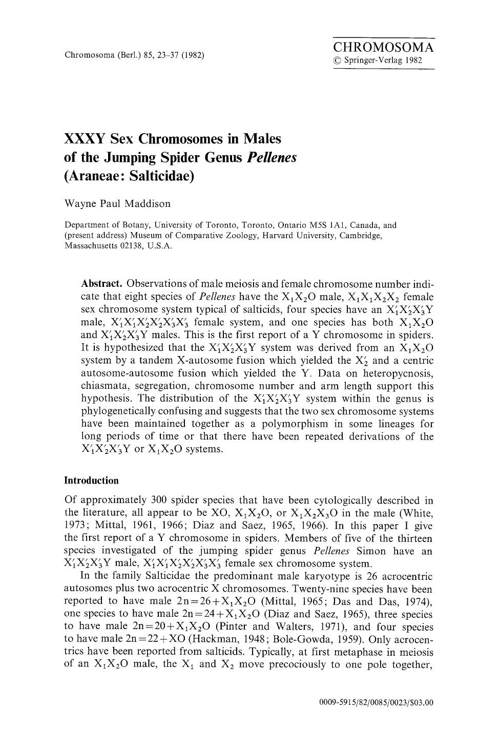 XXXY sex chromosomes in males of the jumping spider genus <Emphasis Type="Italic">Pellenes<Emphasis> (Araneae: Salticidae) by Unknown