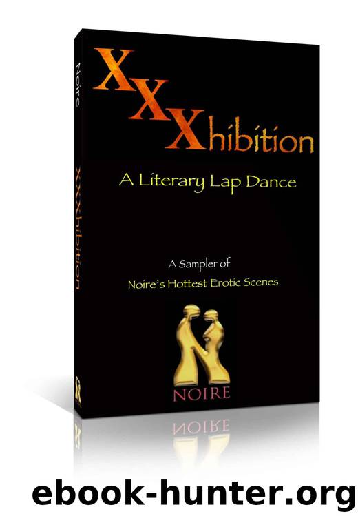 XXXhibition: A Literary Lap Dance, a Sampler of Noire's Hottest Erotic Scenes by Noire