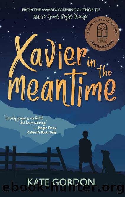 Xavier in the Meantime by Kate Gordon
