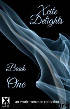 Xcite Delights - an Erotic Romance Collection by Giselle Renarde & Janine Ashbless & Charlotte Stein & Angela Goldsberry & K D Grace & Mary Borsellino & Lana Fox & Clarice Clique