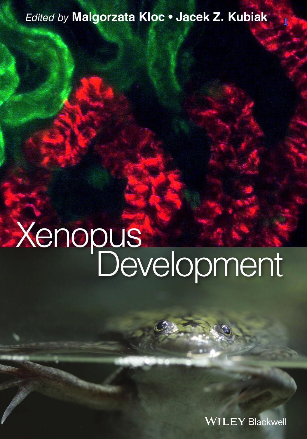 Xenopus Development by Kubiak Jacek Z.; Kloc Malgorzata