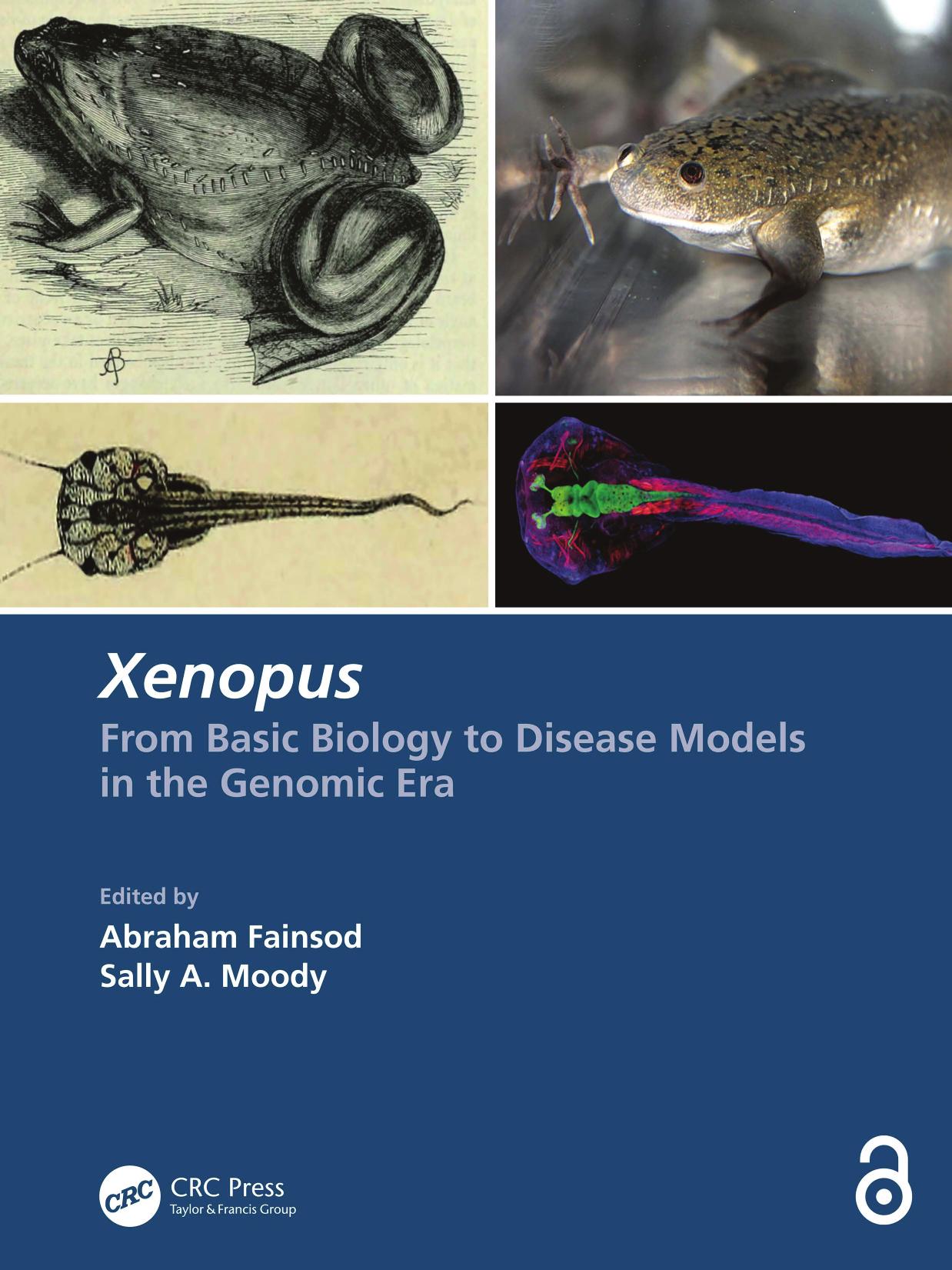 Xenopus; From Basic Biology to Disease Models in the Genomic Era by Abraham Fainsod & Sally A. Moody