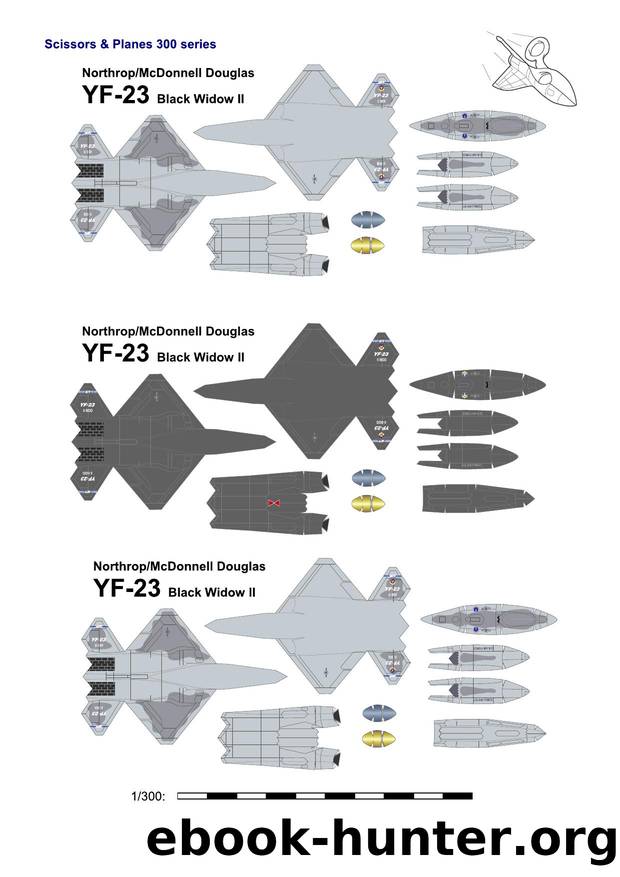 YF-23 Black Widow II Scissors and Planes by Сергей