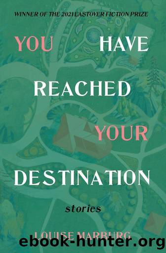 YOU HAVE REACHED YOUR DESTINATION by Louise Marburg