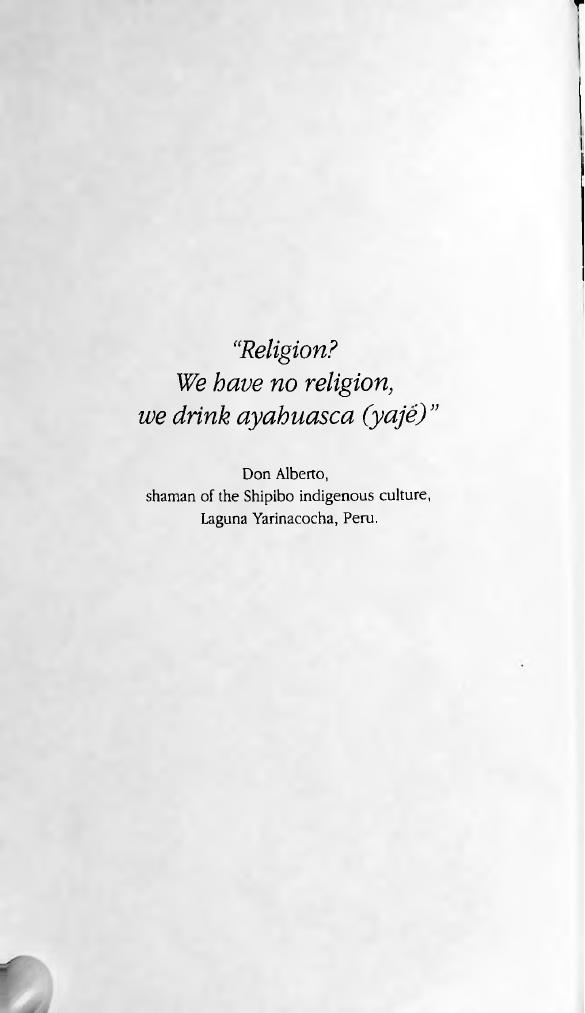 Yaje - the new purgatory by Jimmy Weiskopf