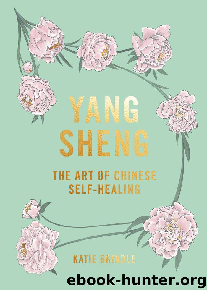 Yang Sheng by Katie Brindle