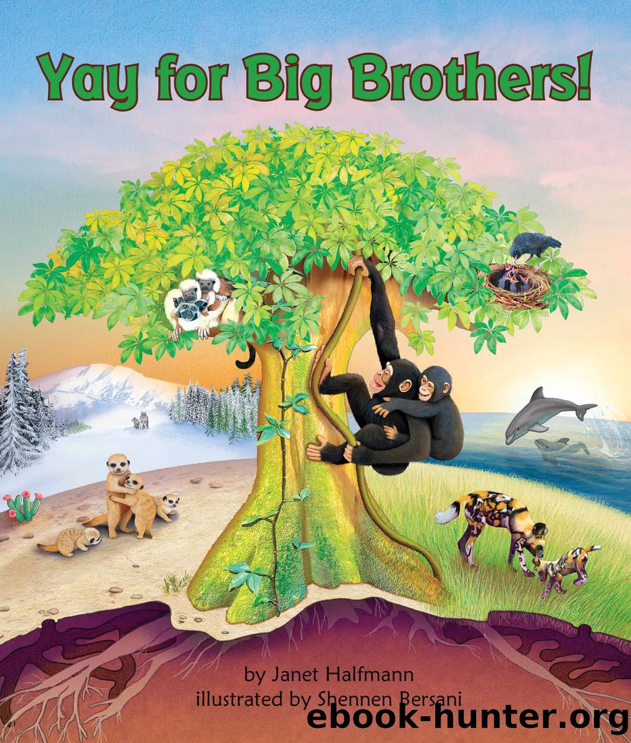 Yay for Big Brothers! by Janet Halfmann