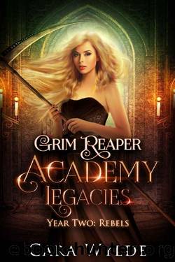 Year Two: Rebels: A Reverse Harem Bully Romance (Grim Reaper Academy ...