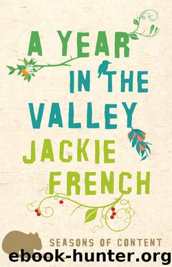 Year in the Valley by Jackie French