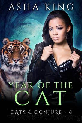 Year of the Cat by Asha King