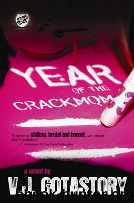 Year of the Crackmom by VJ Gotastory