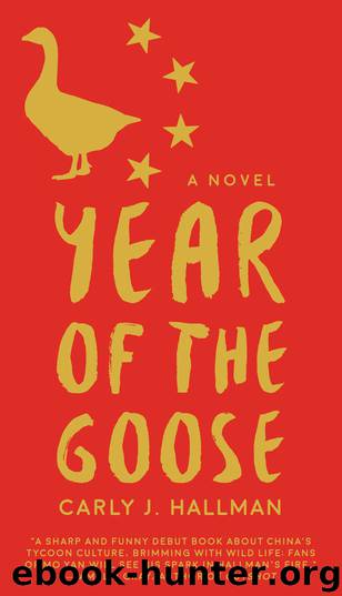 Year of the Goose by Carly J. Hallman