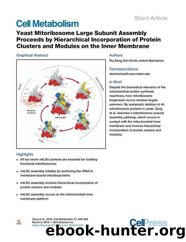 Yeast Mitoribosome Large Subunit Assembly Proceeds by Hierarchical Incorporation of Protein Clusters and Modules on the Inner Membrane by Rui Zeng & Erin Smith & Antoni Barrientos