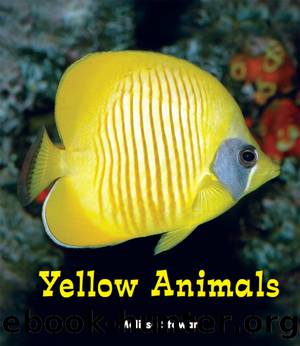 Yellow Animals by Melissa Stewart