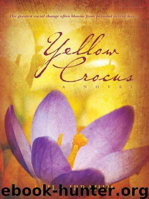 Yellow Crocus by Ibrahim Laila
