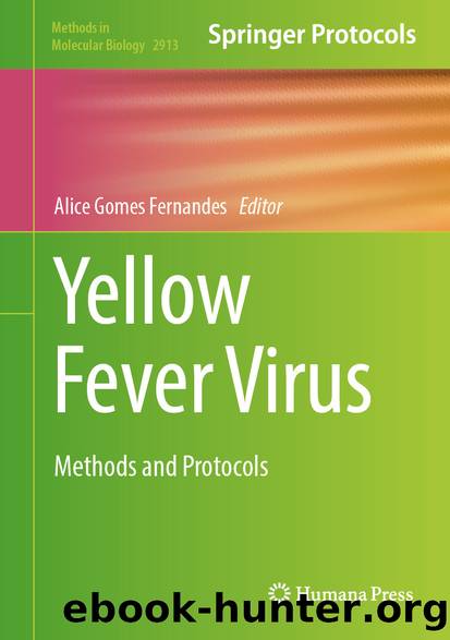 Yellow Fever Virus by Unknown