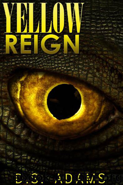 Yellow Reign by D.S Schembri-Adams