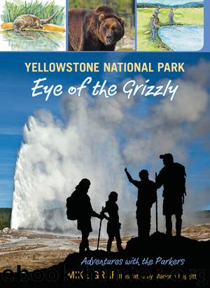 Yellowstone National Park by Mike Graf