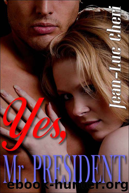 Yes, Mr President by Jean-Luc Cheri