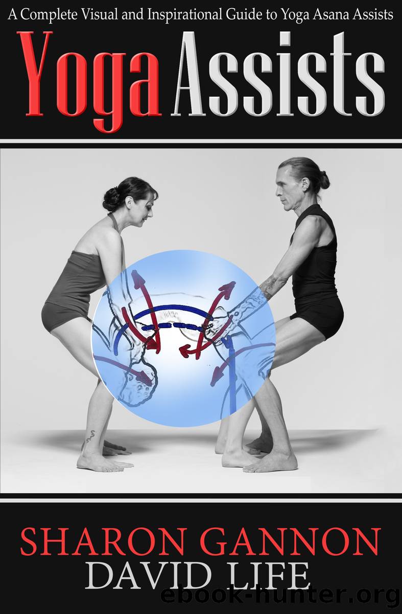 Yoga Assists by Sharon Gannon