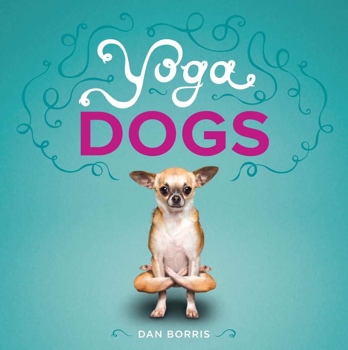 Yoga Dogs by Dan Borris