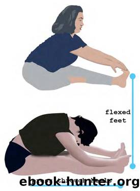 Yoga What Basic Understandable Yoga Alignment nodrm by Unknown