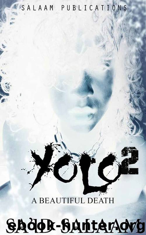 Yolo 2: A Beautiful Death by Sa'Id Salaam