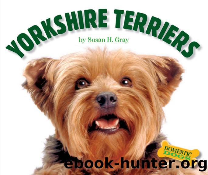 Yorkshire Terriers by Susan H. Gray