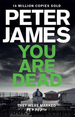 You Are Dead (Roy Grace series) by James Peter
