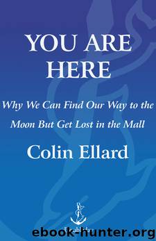 You Are Here by Colin Ellard