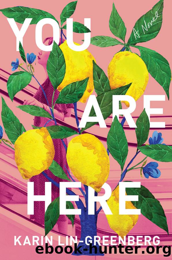 You Are Here by Karin Lin-Greenberg